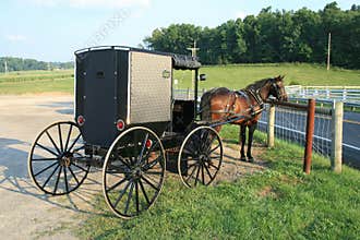 Amish Buggy