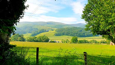 British rural green landscape meadows and fields