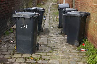 Back-entry and Wheelie Bins 02
