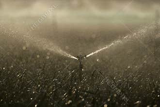 Water sprinklers on crops