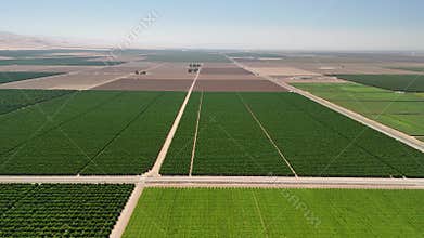 Aerial View of Agricultural Farmland in Bakersfield, California