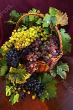 Basket with grapes