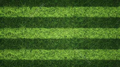 Green grass seamless texture on striped sport field. Astro turf pattern. Carpet or lawn top view. Baseball, soccer, football or go