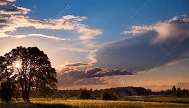 Sunset on the meadow. The sun behind the tree in early spring.
