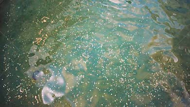 Underwater Dreamscape: Glimmering Coins in Fountain