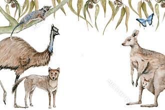 Emu and kangaroo greeting card with dingo and possum decorated with gum tree eucalyptus leaves. Australian native animals