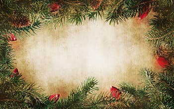 Pine tree branches with Christmas lights