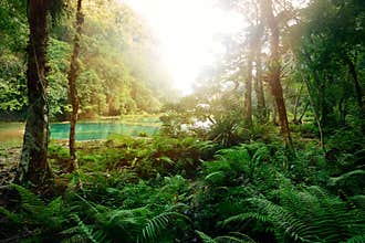 Mysterious Mayan jungle in the national park Semuc Champey