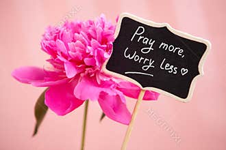 Pray more worry less - christian text on blackboard with peony flower on pink background