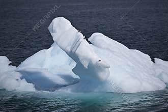 Iceberg