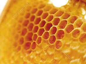 Honey