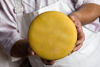 Cheese in hands