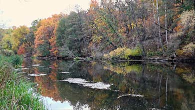 Autumn river flow with colorful forest trees