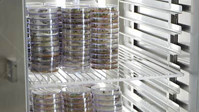 A refrigerator full of plastic containers full of seeds.