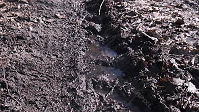 Dirty road tracks