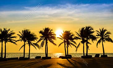 Fantastic tropical beach with palms at sunset