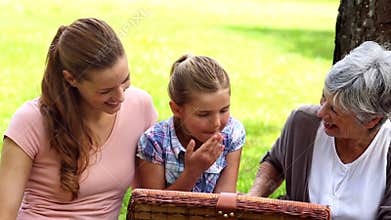 Three generations of women having a picnic