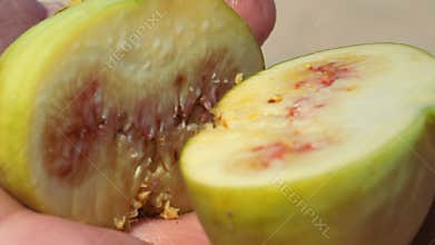 Figs in the hands of a man broken into two parts against the background of the sea. Live a healthy life. Be H3althy