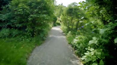 POV Walking Down Shady Forest Path - First Person View Nature Trail