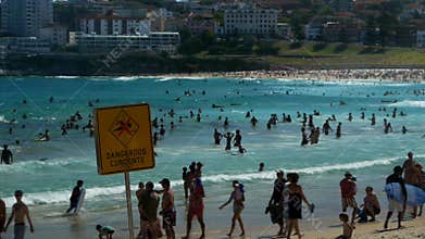 Bondi swimmers