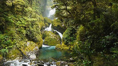 Lush rainforest waterfall