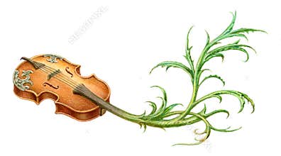 Fairy-tale mystic violin with plant scroll painting. Isolated on