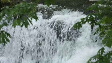 Whatcom Falls Detail, Bellingham