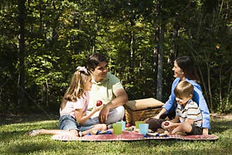 Family picnic.