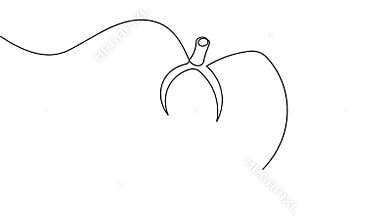 Fresh tomato one line outline animation