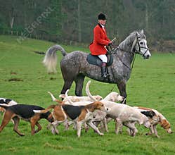 Master with hounds