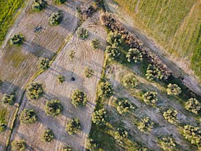 Fields and trees spread across a rural landscape during daylight hours in a farming area with distant patterns and shadows