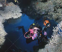 Custom Cave, Solomons