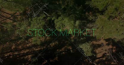 Fading green STOCK MARKET overlay glitching then settling as camera lowering revealing forest floor