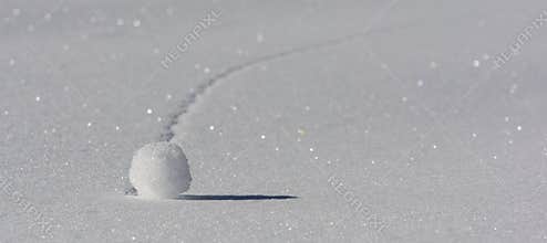 Snowball