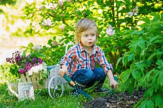 Little kid helping in the garden