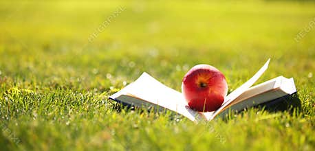 Back to School. Open Book and Apple on Grass.
