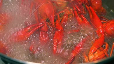 Cooked Crayfish