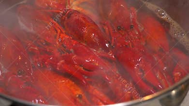 Cooked Crayfish
