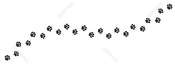 Paw print trail on white background. Vector cat or dog, pawprint walk line path pattern