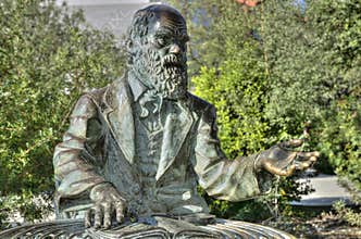 Charles Darwin statue