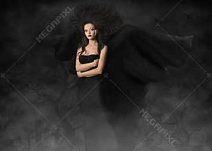 Beautiful gothic style woman with wings