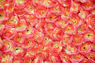 Decoration flowers