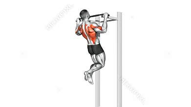 Pull up exercise. Back muscles
