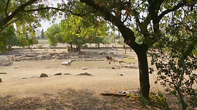 Pan shot of archaeology excavation site, search for ancient historical remains
