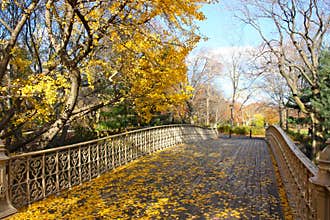 Autumn in Central Park, New York