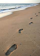 Footprints on the beach