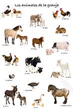 Collage of farm animals in Spanish