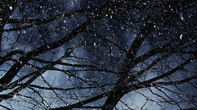 Winter scenery and falling snow