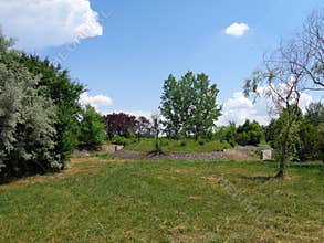 Generic Vegetation - Eutopia Garden - Arad, Romania