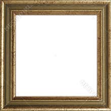 Gilded Picture Frame